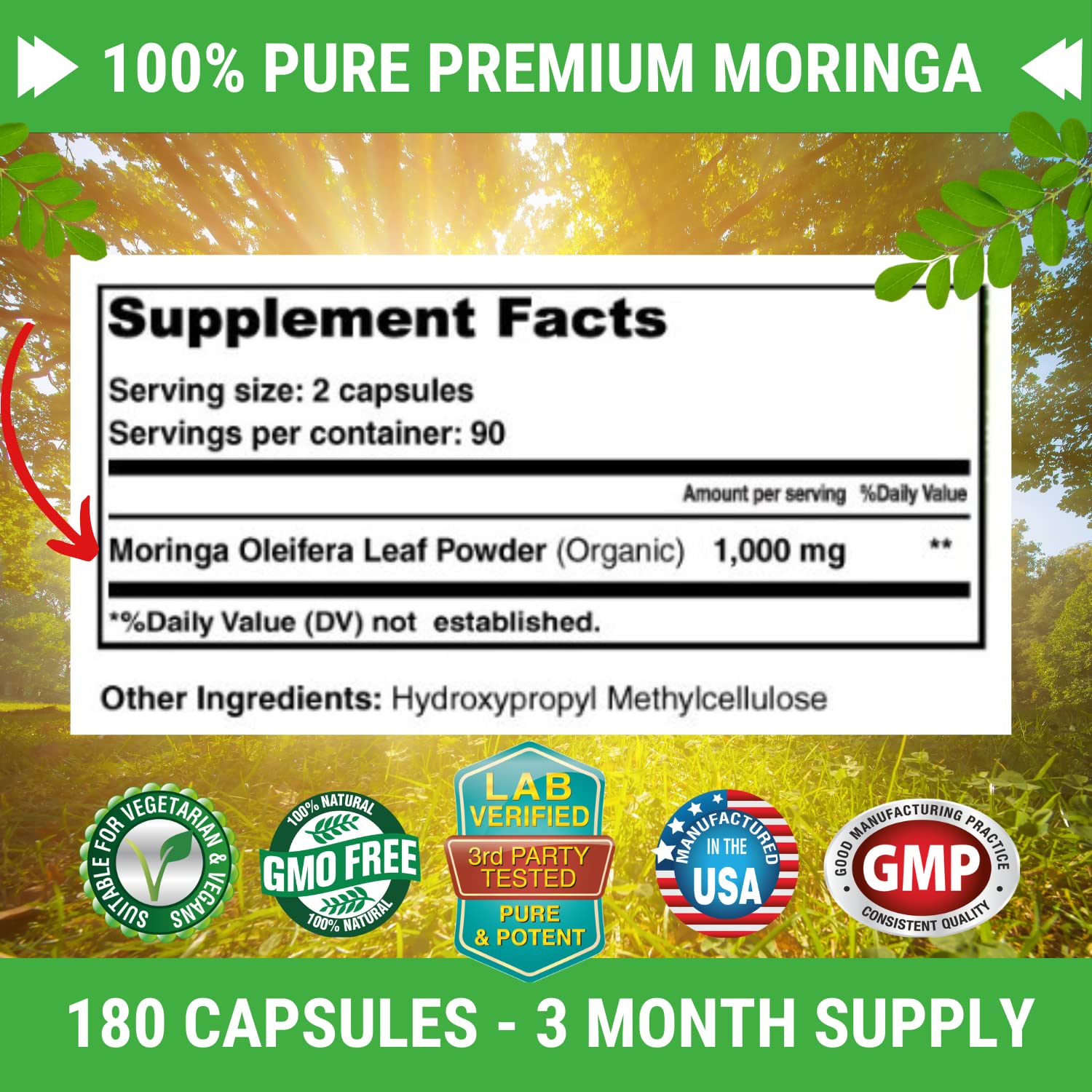 FRESH HEALTHCARE Moringa Capsules – 100% Pure Leaf Powder - 180 Pills, Non-GMO - 3 Month Supply - Complete Green Superfood for Energy - PrimeBioHealth - canada supplements