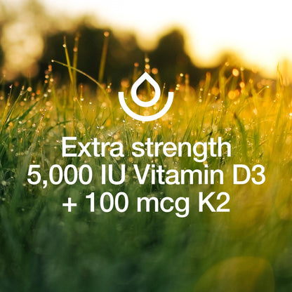 Fresh Nutrition Vegan Vitamin D3 + K2 Capsules - 5000 IU D3 + 100mcg K2 as MK-7 for Optimal Absorption - Immune Health, Bone Health, Mood - Non GMO - 90 Capsules, 3 Month Supply - PrimeBioHealth - canada supplements