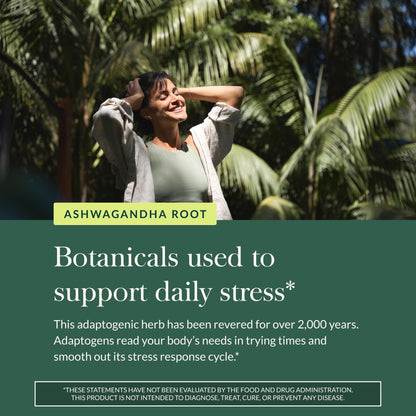 Gaia Herbs Ashwagandha Root - Stress Relief & Sleep Support Supplement - Supports Balanced Energy Levels & Positive Outlook - PrimeBioHealth - canada supplements