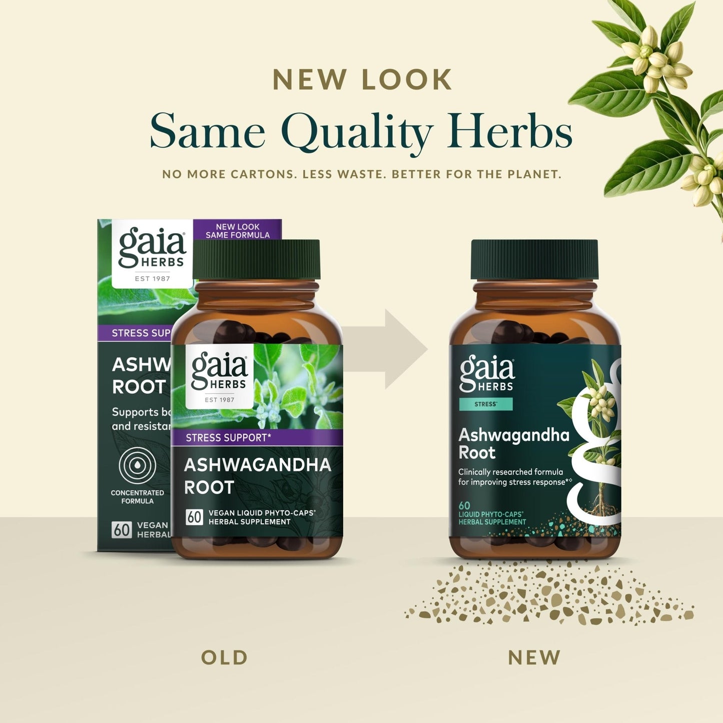 Gaia Herbs Ashwagandha Root - Stress Relief & Sleep Support Supplement - Supports Balanced Energy Levels & Positive Outlook - PrimeBioHealth - canada supplements