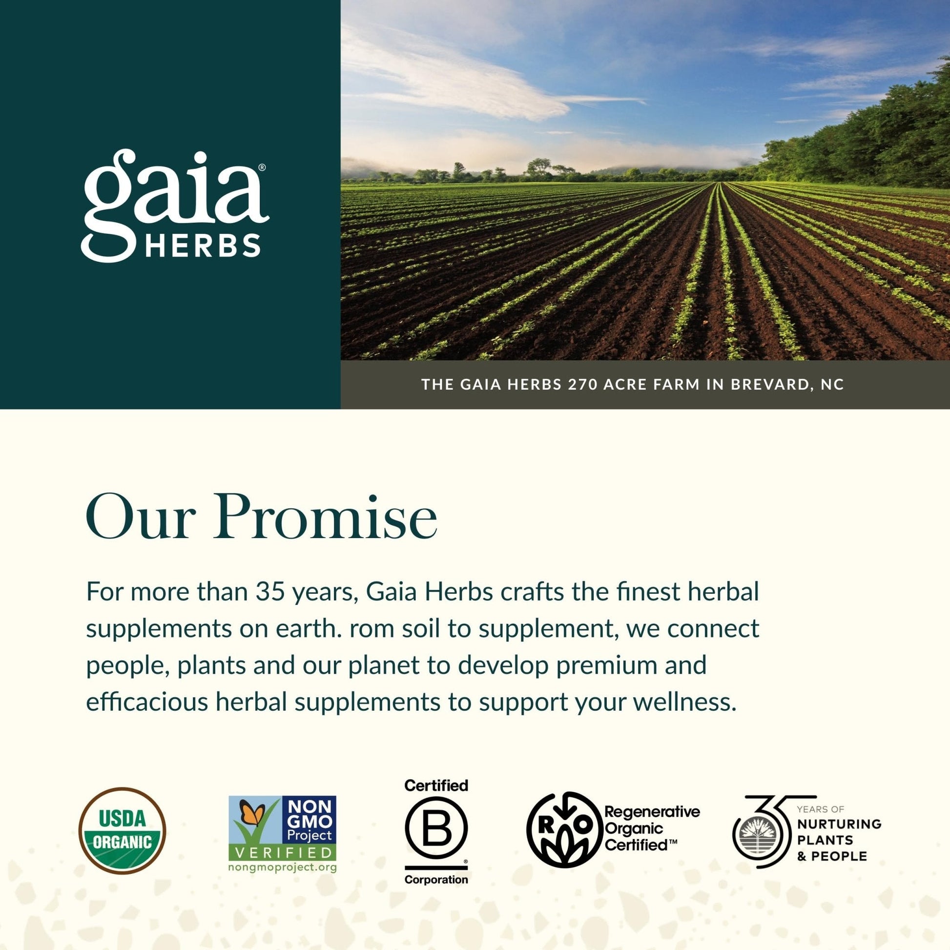 Gaia Herbs Ashwagandha Root - Stress Relief & Sleep Support Supplement - Supports Balanced Energy Levels & Positive Outlook - PrimeBioHealth - canada supplements