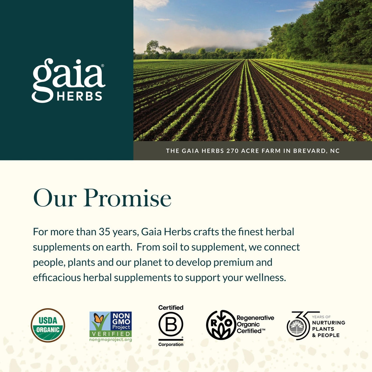 Gaia Herbs Turmeric Supreme Extra Strength - Supports Occasional Discomfort from Normal Wear & Tear* - with Turmeric Curcumin & Black Pepper - PrimeBioHealth - canada supplements
