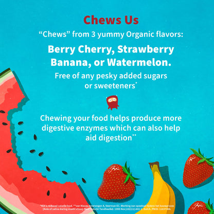 Garden of Life Dr. Formulated Probiotics Organic Kids+ plus Vitamin C & D - Berry Cherry - Gluten, Dairy & Soy Free Immune & Digestive Health Supplement - PrimeBioHealth - canada supplements