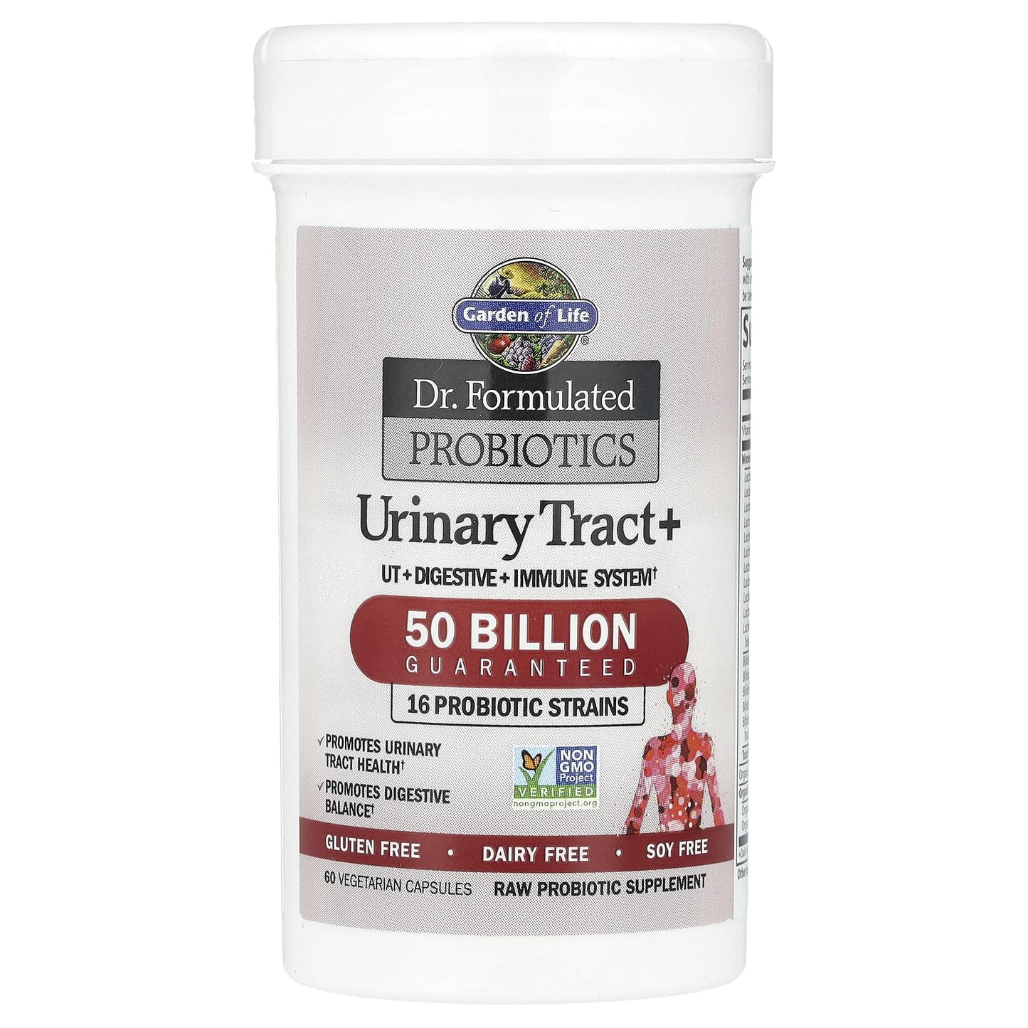 Garden of Life Dr. Formulated Probiotics Urinary Tract+ - 50 Billion CFU - Supports Digestive, Immune & Urinary Tract Health - PrimeBioHealth - canada supplements
