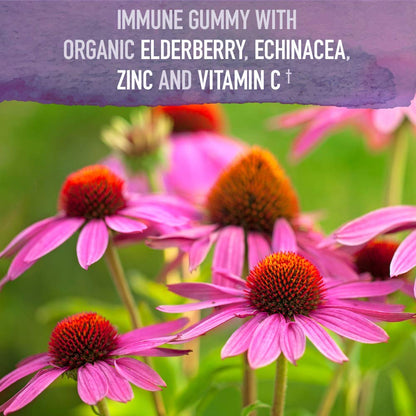 Garden of Life Organics Elderberry Gummies for Adults & Kids - Immune Support Supplement with Organic Fruit, Herbal Blend, Elderberry, Echinacea, Zinc, - PrimeBioHealth - canada supplements