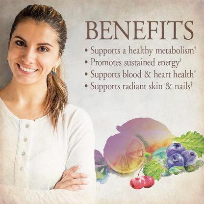 Garden of Life Organics Multivitamin for Women - Women's Once Daily Multi - Whole Food Multi with Iron, Biotin, Vegan Organic Womens Multivitamin for Health - PrimeBioHealth - canada supplements