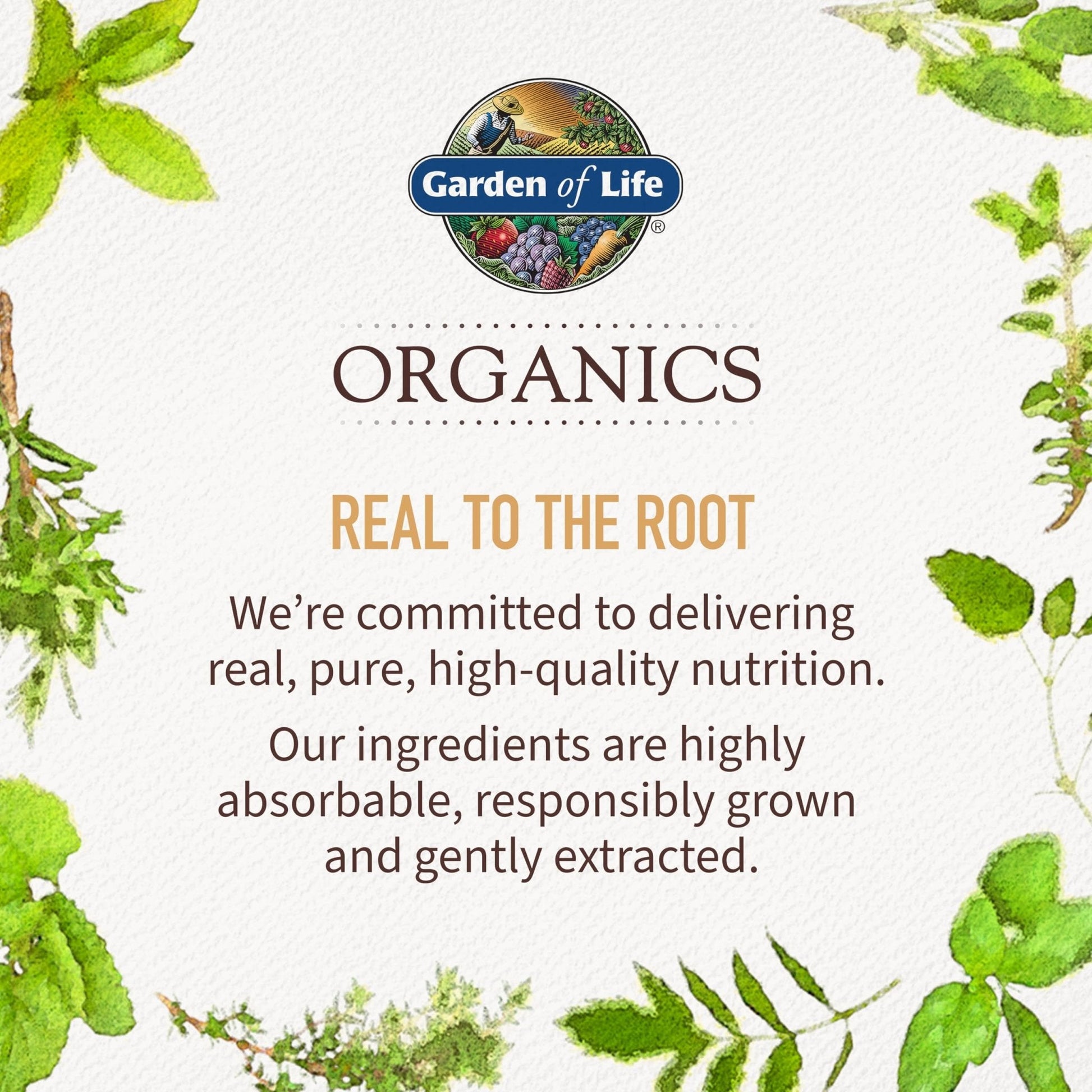Garden of Life Organics Women's Gummy Vitamins - Berry - Certified Organic, Non-GMO, Vegan, Kosher Complete Multi - Methyl B12, C & D3 - Gluten - PrimeBioHealth - canada supplements