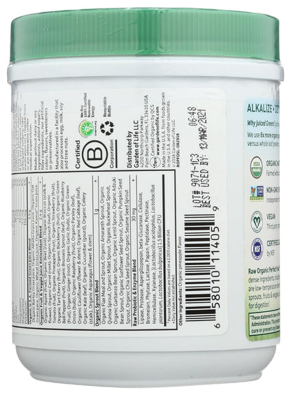 Garden of Life Raw Organic Perfect Food Green Superfood Juiced Greens Powder - Original Stevia-Free, 30 Servings, Non-GMO, Gluten Free Whole Food Dietary - PrimeBioHealth - canada supplements