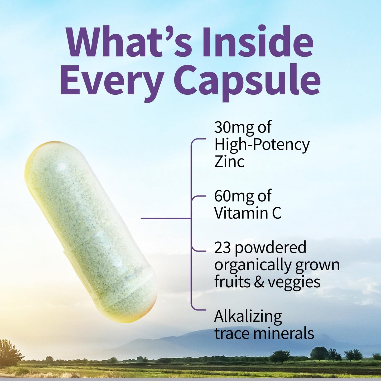 Garden of Life Zinc Supplements 30mg High Potency Raw Zinc and Vitamin C Multimineral Supplement, Vitamin Code Vitamins Trace Minerals & Probiotics - PrimeBioHealth - canada supplements