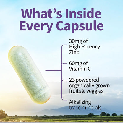 Garden of Life Zinc Supplements 30mg High Potency Raw Zinc and Vitamin C Multimineral Supplement, Vitamin Code Vitamins Trace Minerals & Probiotics - PrimeBioHealth - canada supplements