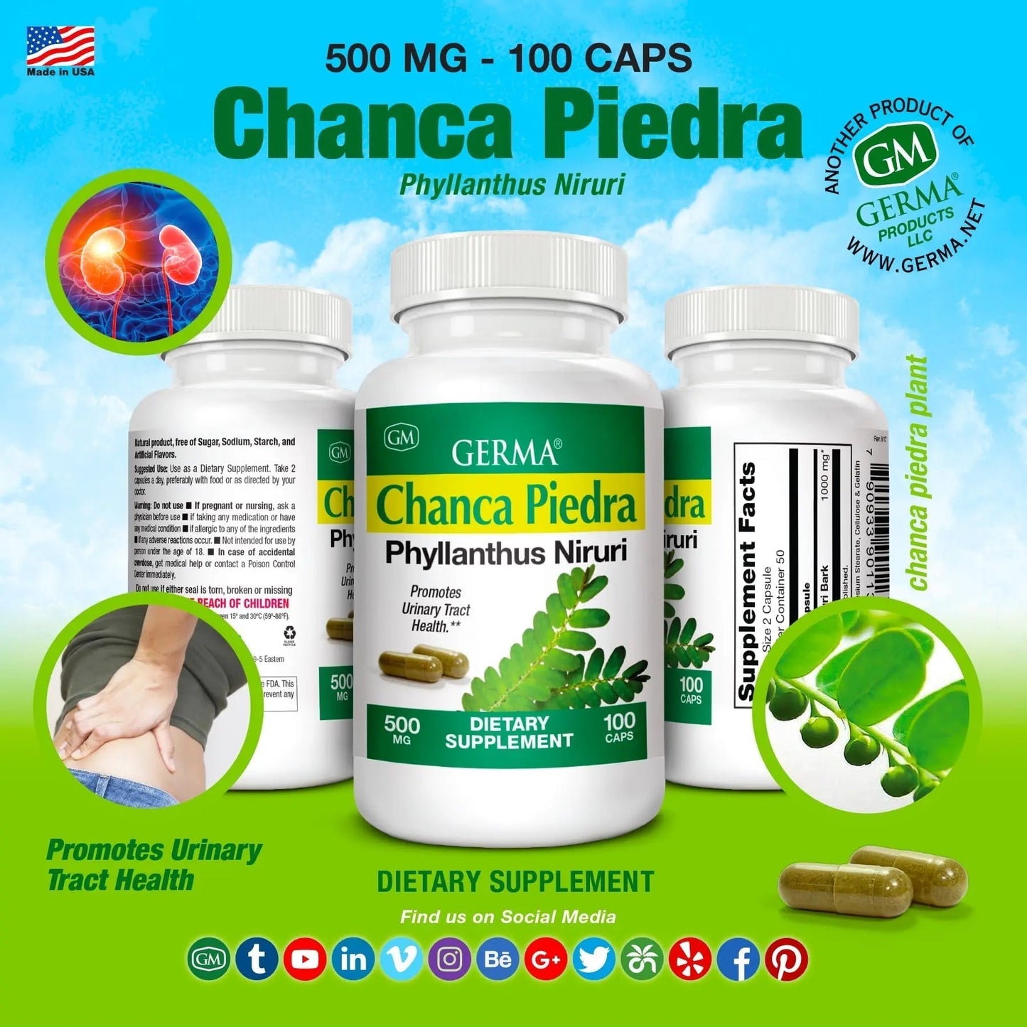 Germa Chanca Piedra Supplement – 500mg Phyllanthus Niruri – Traditional Stone Breaker Herb for Urinary & Kidney Support – Rainforest Botanical – 100% Natural Vegan Capsules, 100 Count - PrimeBioHealth - canada supplements