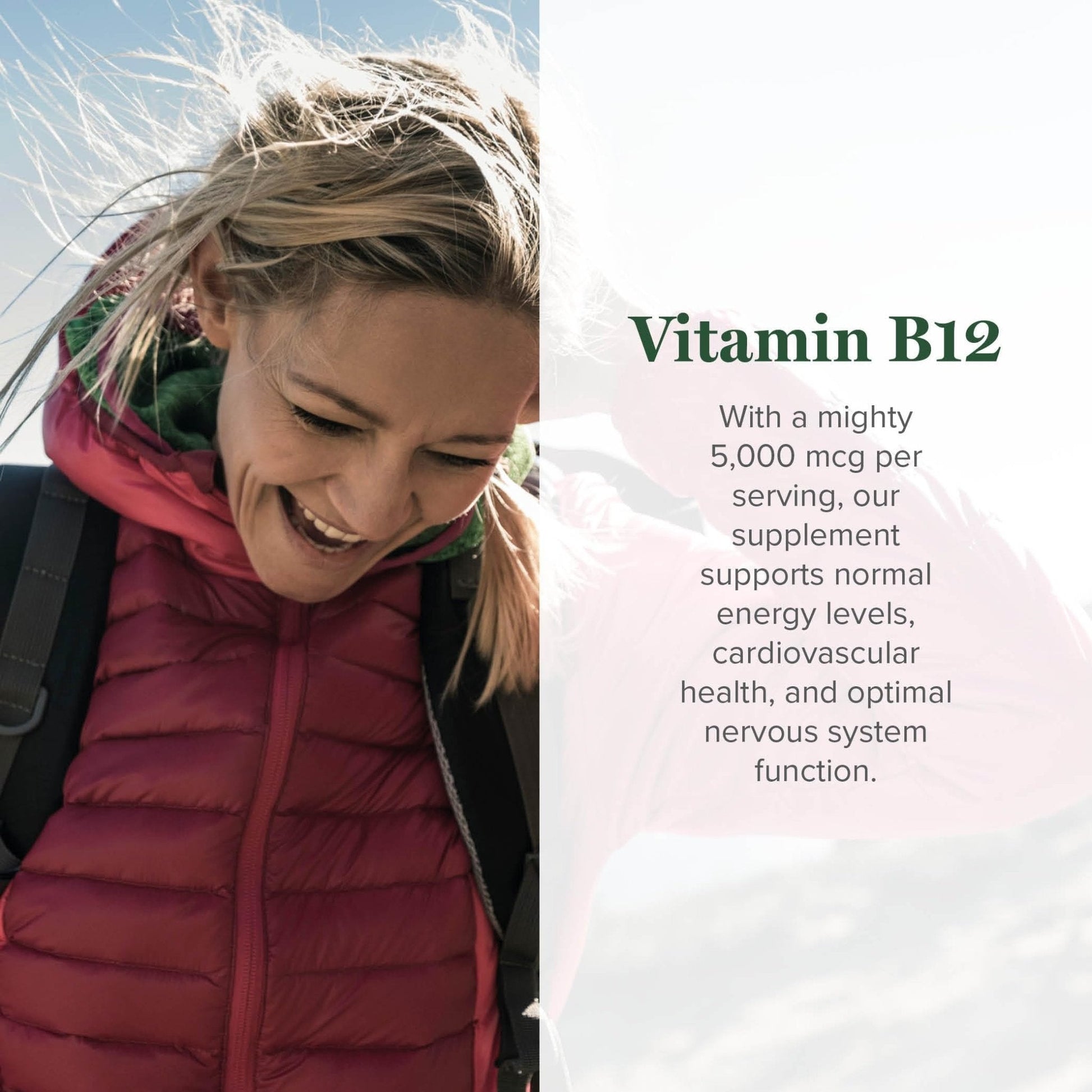 Global Healing Center - Vitamin B12 Sublingual 5000 MCG Organic Liquid Supplement, Methylcobalamin, Adenosylcobalamin, Hydroxo Long-Lasting Energy - PrimeBioHealth - canada supplements