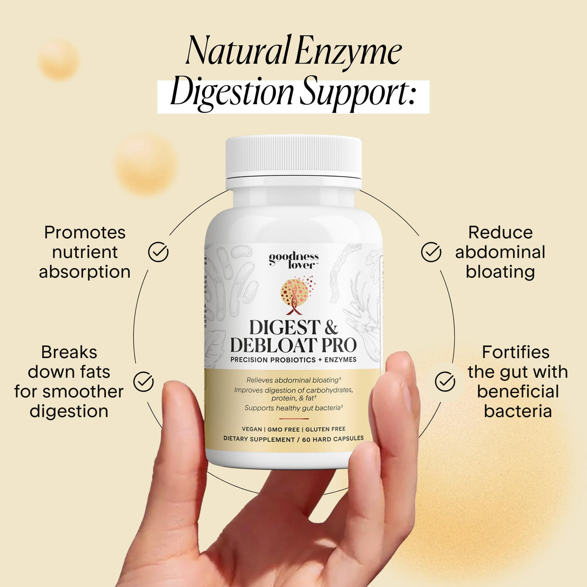 Goodness Lover Digest & Debloat Pro, Natural Digestive Enzymes Probiotics for Bloating Relief and Gas Relief, Probiotic Supplement for Women and Men, - PrimeBioHealth - canada supplements