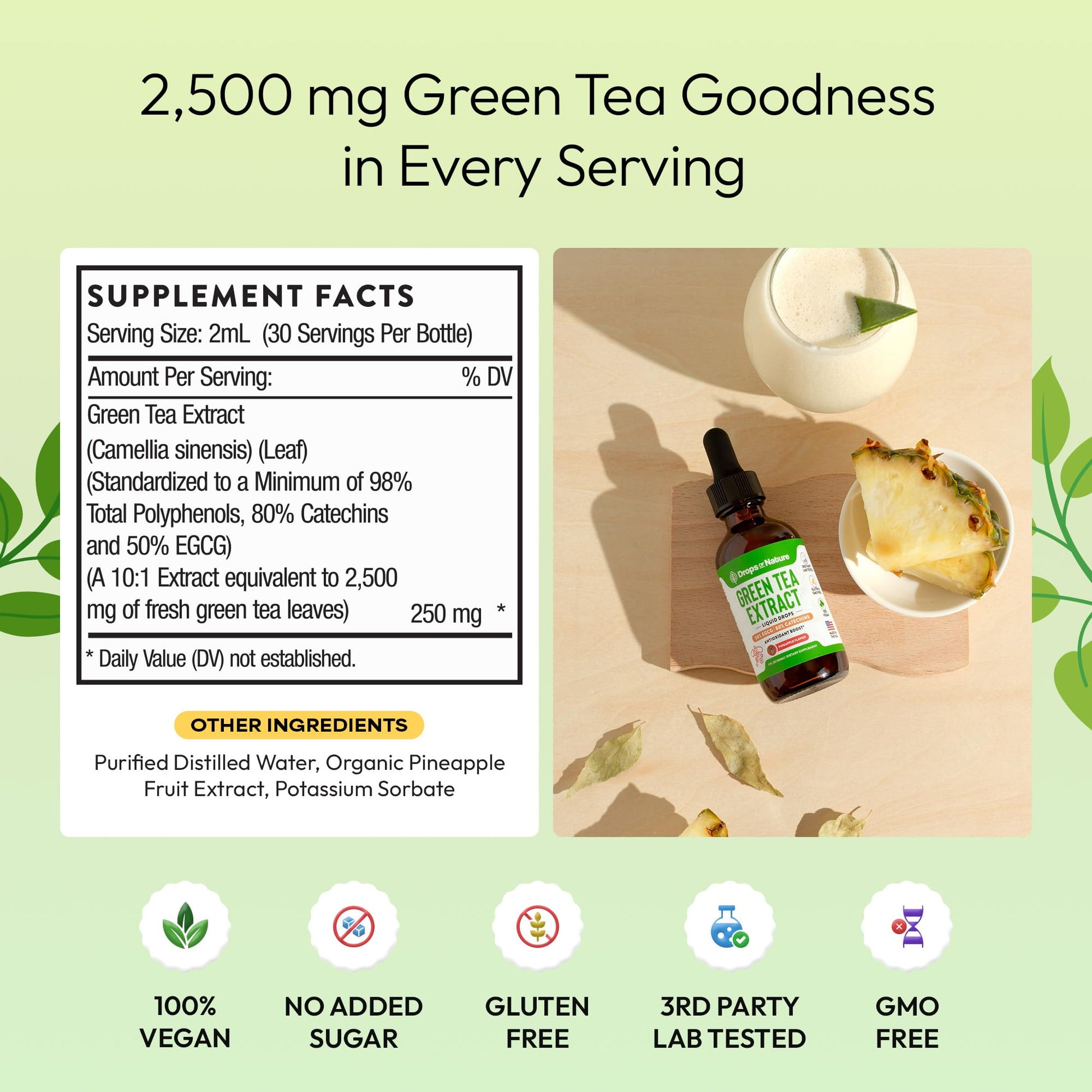 Green Tea 10:1 Extract 50% EGCG - Green Tea Liquid Drops - Vegan, 4X More Powerful Than Pills & Capsules - 2oz Antioxidant & Immune Supplement - PrimeBioHealth - canada supplements