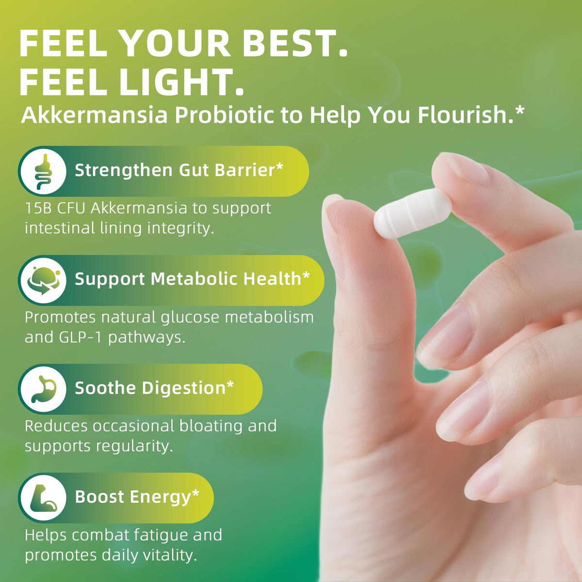 GREENPEOPLE Akkermansia Probiotics 15B CFU for Gut Function, 60CT Probiotics Supplement with Ceylon Cinnamon, Turmeric | Digestive Health & Metabolic Support - PrimeBioHealth - canada supplements