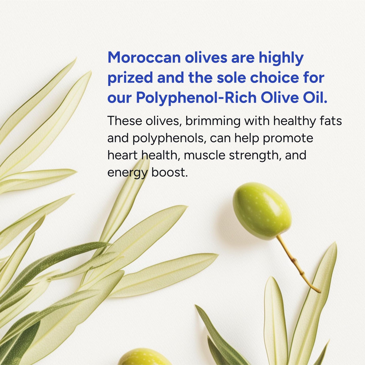 Gundry MD® Organic Extra Virgin First Cold Press Moroccan Polyphenol Rich Olive Oil (Olive Oil) (1) - PrimeBioHealth - canada supplements