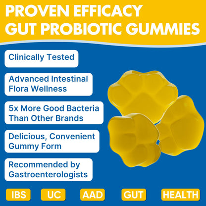 Gut Health & Probiotic Gummies, 112.5 Billion CFU, Sugar Free - 8 Strains + Prebiotics + Herbs - for Digestive, Immune, Diarrhea & Bloating - Gut Health for Women & Men - PrimeBioHealth - canada supplements
