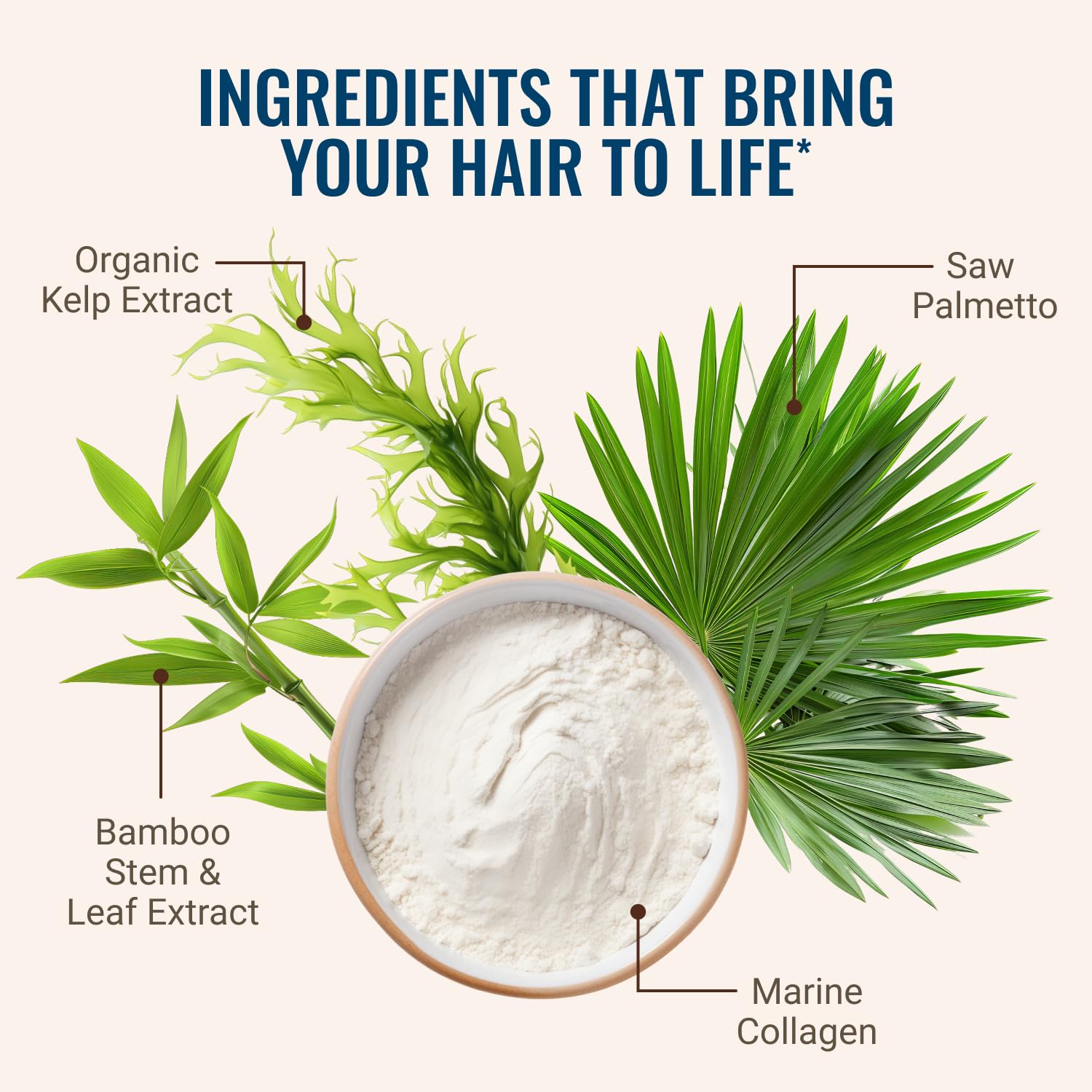 Hair La Vie Live Conscious Revitalizing Blend Hair Growth Vitamins for Women to Support Health of Hair - Supplements w/Biotin, Collagen & Saw Palmetto for Thick, Full Hair - 60 Caps - PrimeBioHealth - canada supplements