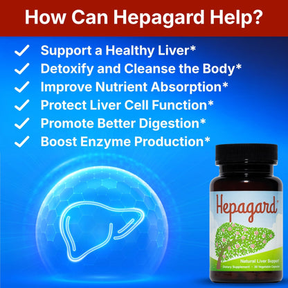 Hepagard - Natural Liver Support Supplement with N-Acetyl Cysteine (NAC) - Non-GMO, Vegan, Gluten-Free - PrimeBioHealth - canada supplements