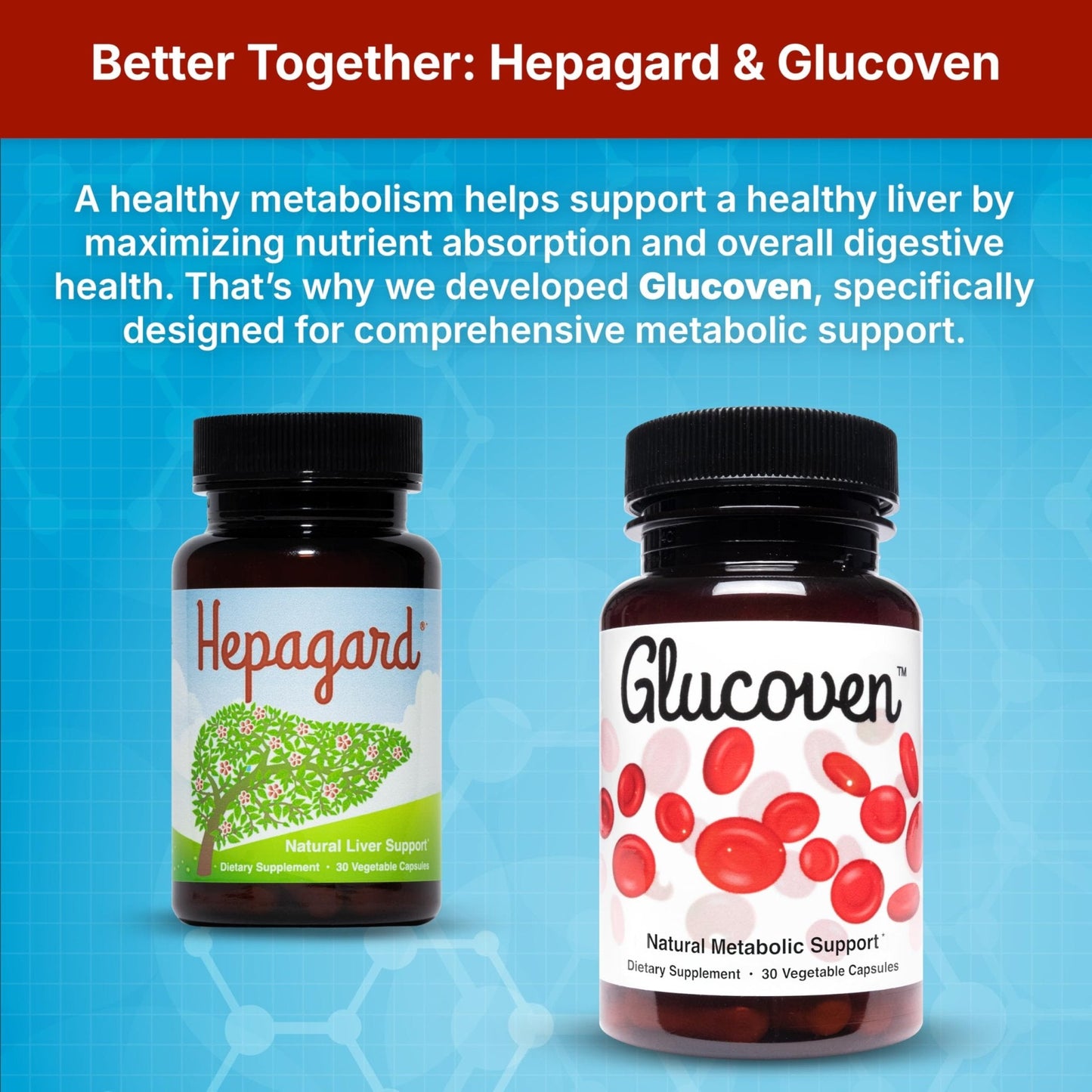 Hepagard - Natural Liver Support Supplement with N-Acetyl Cysteine (NAC) - Non-GMO, Vegan, Gluten-Free - PrimeBioHealth - canada supplements