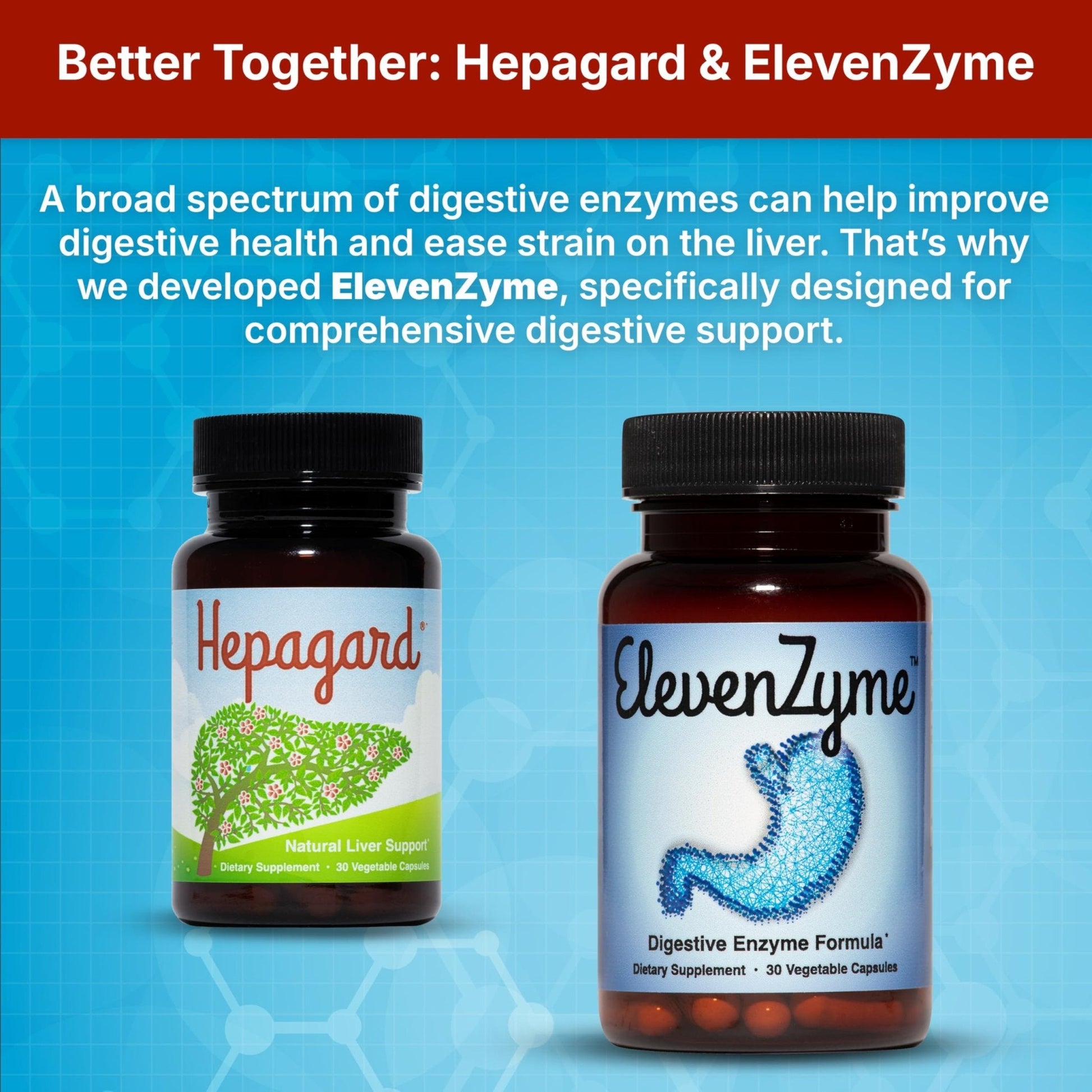 Hepagard - Natural Liver Support Supplement with N-Acetyl Cysteine (NAC) - Non-GMO, Vegan, Gluten-Free - PrimeBioHealth - canada supplements