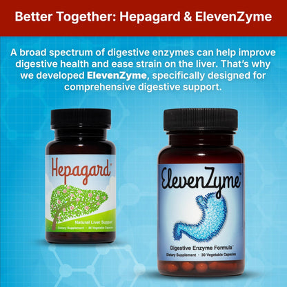 Hepagard - Natural Liver Support Supplement with N-Acetyl Cysteine (NAC) - Non-GMO, Vegan, Gluten-Free - PrimeBioHealth - canada supplements