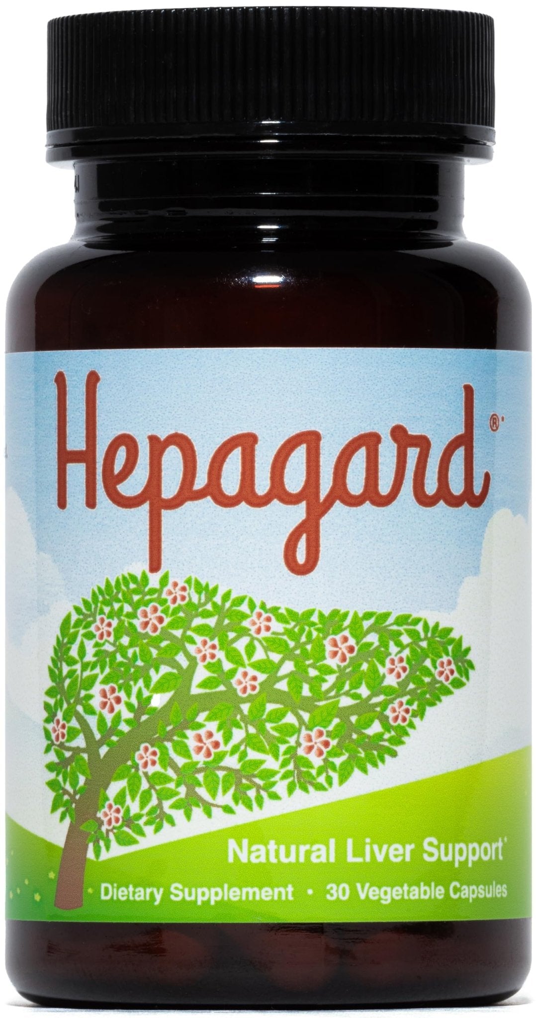Hepagard - Natural Liver Support Supplement with N-Acetyl Cysteine (NAC) - Non-GMO, Vegan, Gluten-Free - PrimeBioHealth - canada supplements