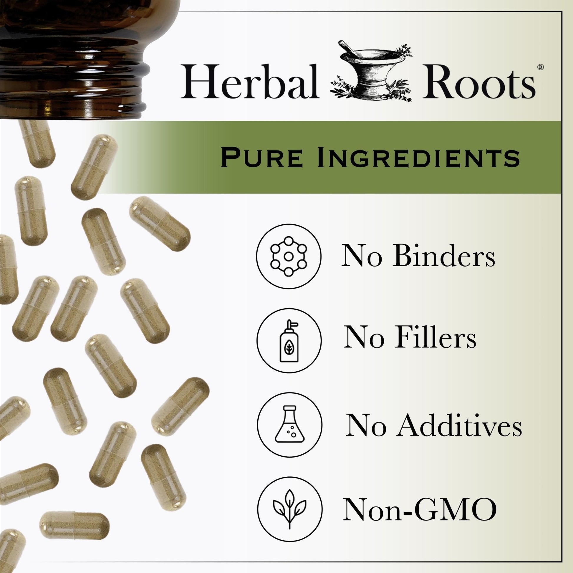 Herbal Roots Ginger Supplement | Organic Ginger Root Capsules | 1,200 mg of Pure Ginger Powder per Serving | 60 Vegan Capsules - PrimeBioHealth - canada supplements