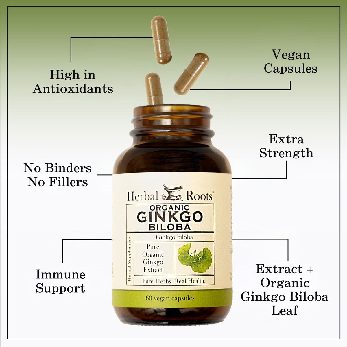 Herbal Roots Organic Ginkgo Biloba Made with Pure Organic Ginkgo Leaf and Extract - 60 Vegan Capsules - PrimeBioHealth - canada supplements