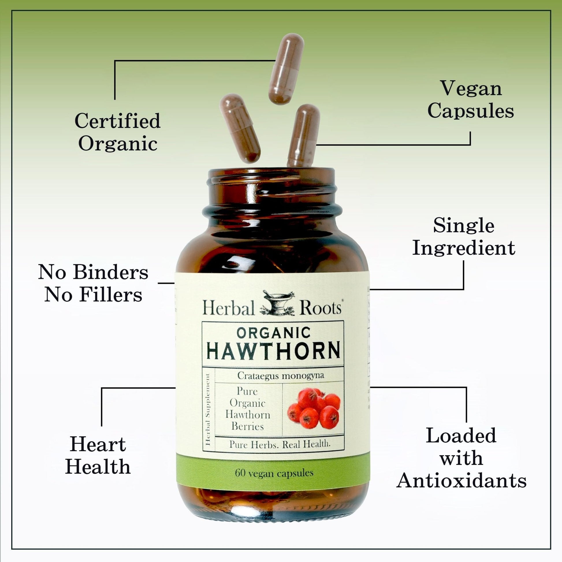Herbal Roots Organic Hawthorn Berry Capsules | Extra Strength 1,200mg per Serving | 60 Vegan Capsules - PrimeBioHealth - canada supplements