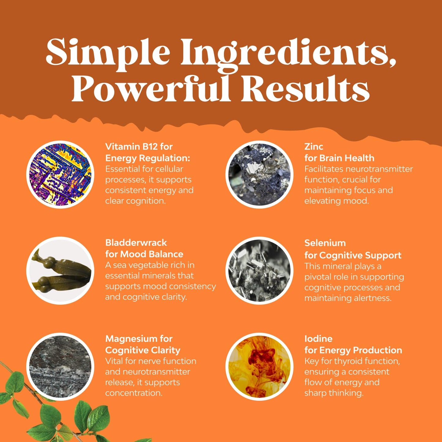 Herbal Thyroid Support Complex - Potent Kelp Iodine Supplement with L Tyrosine, Bladderwrack, Selenium & Pure Ashwagandha for Hormone Balance - PrimeBioHealth - canada supplements