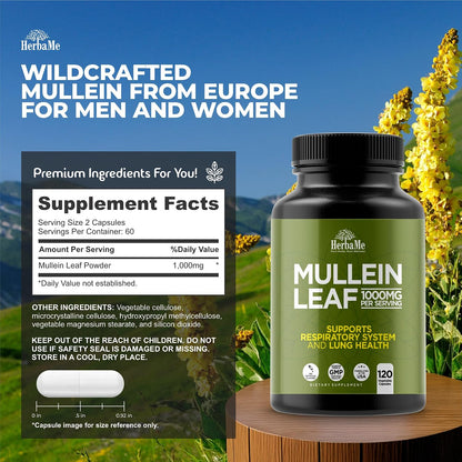 HerbaMe Mullein Leaf 1000mg, 120 Capsules - Daily Respiratory Support Supplement, Supports Breathing Comfort & Mucus Balance, Herbal Lung Support for Smokers, Men & Women - PrimeBioHealth - canada supplements