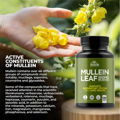 HerbaMe Mullein Leaf 1000mg, 120 Capsules - Daily Respiratory Support Supplement, Supports Breathing Comfort & Mucus Balance, Herbal Lung Support for Smokers, Men & Women - PrimeBioHealth - canada supplements
