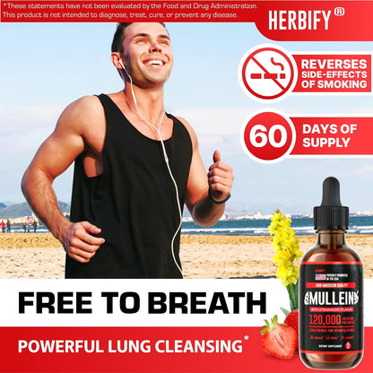 HERBIFY Bundle - Lions Mane & Mullein 4 Fl Oz Strawberry Drops - Supplement for Memory, Focus & Clarity & Immune Support, Lung Cleanse and Bronchial Support - PrimeBioHealth - canada supplements