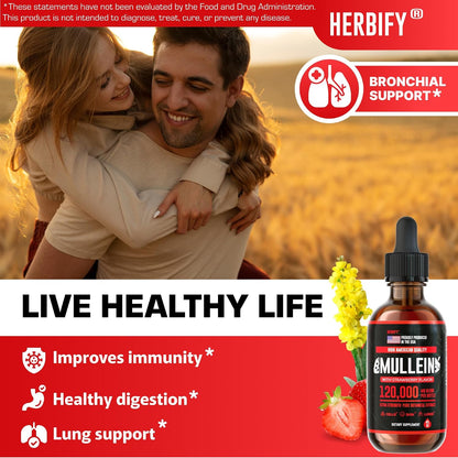 HERBIFY Bundle - Lions Mane & Mullein 4 Fl Oz Strawberry Drops - Supplement for Memory, Focus & Clarity & Immune Support, Lung Cleanse and Bronchial Support - PrimeBioHealth - canada supplements