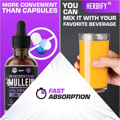 HERBIFY Bundle - Lions Mane & Mullein Grape 4 Fl Oz Drops - Supplement for Memory, Focus & Clarity & Immune Support, Lung Cleanse and Bronchial Support - PrimeBioHealth - canada supplements