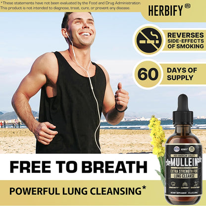 HERBIFY Bundle - Lions Mane & Mullein Vanilla 4 Fl Oz Drops - Supplement for Memory, Focus & Clarity & Immune Support, Lung Cleanse and Bronchial Support - PrimeBioHealth - canada supplements