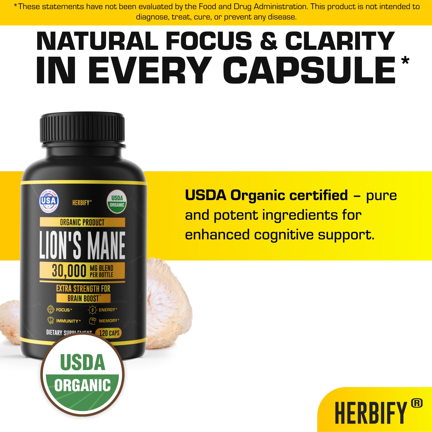 HERBIFY Lions Mane Supplement - Daily Mushroom Supplement for Memory, Focus & Clarity - Brain Booster - Lions Mane Tincture for Immune Support - 4 Fl oz - PrimeBioHealth - canada supplements