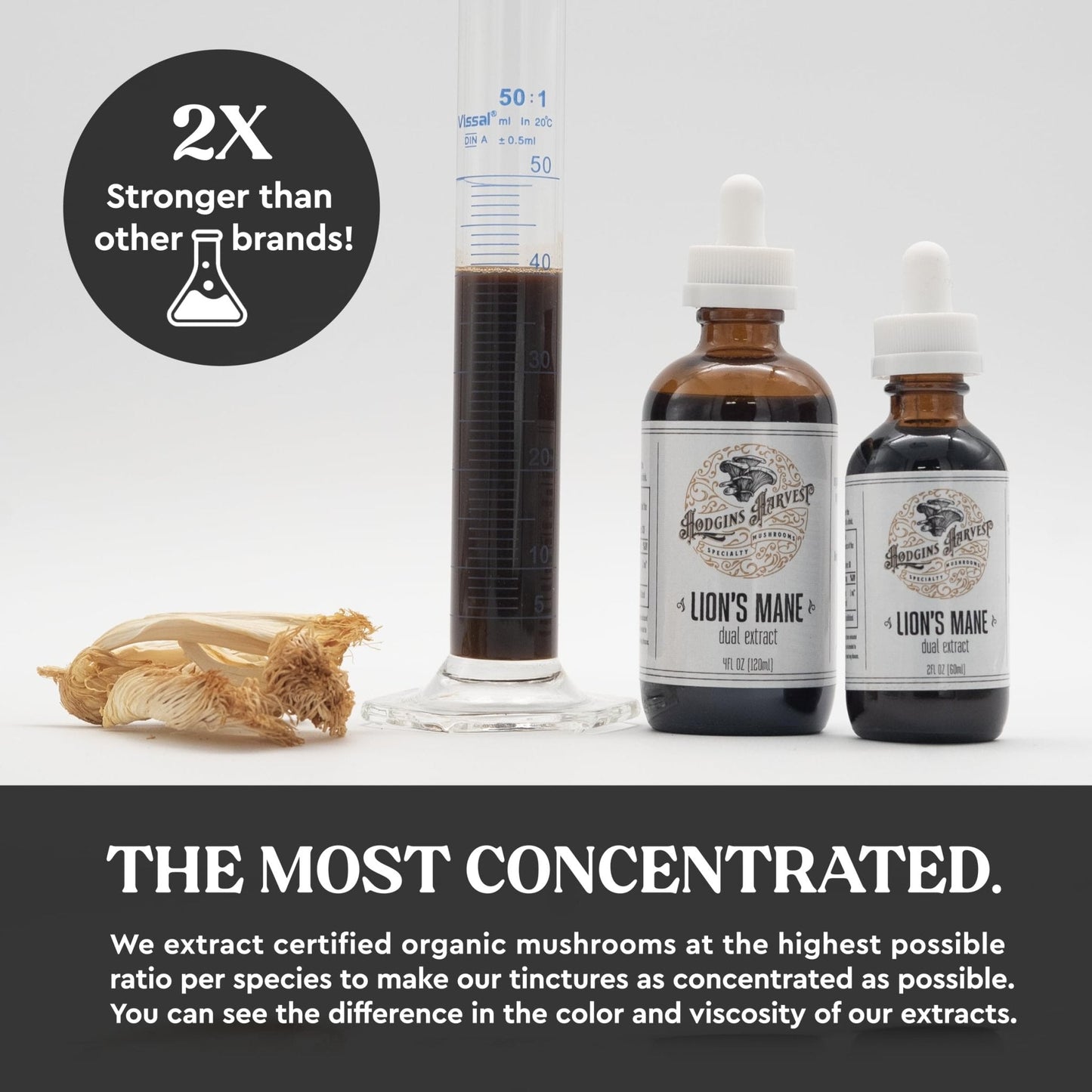 Hodgins Harvest Organic Lion's Mane Fruiting Body Extract Tincture - Mushroom Supplement for Brain Health and Mental Focus - Dual Extract Formula - Extra Concentrated - 4 fl oz Bottle - PrimeBioHealth - canada supplements