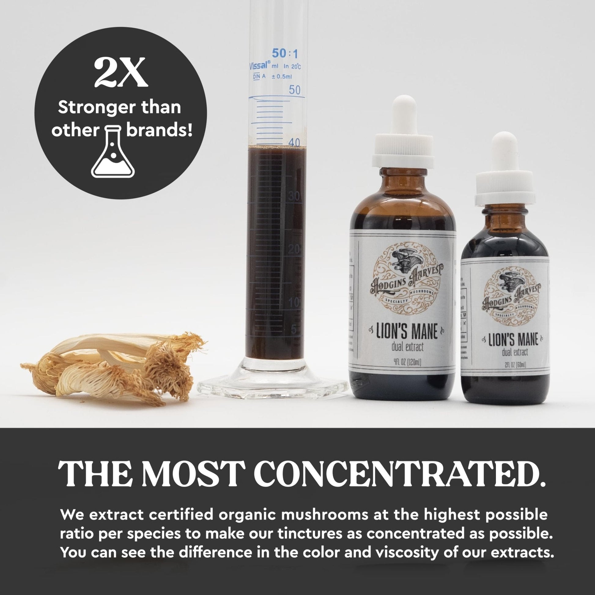 Hodgins Harvest Organic Lion's Mane Fruiting Body Extract Tincture - Mushroom Supplement for Brain Health and Mental Focus - Dual Extract Formula - Extra Concentrated - 4 fl oz Bottle - PrimeBioHealth - canada supplements