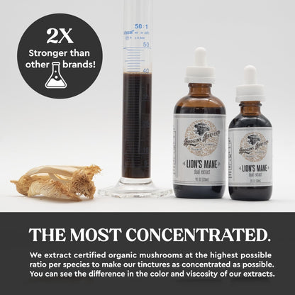 Hodgins Harvest Organic Lion's Mane Fruiting Body Extract Tincture - Mushroom Supplement for Brain Health and Mental Focus - Dual Extract Formula - Extra Concentrated - 4 fl oz Bottle - PrimeBioHealth - canada supplements