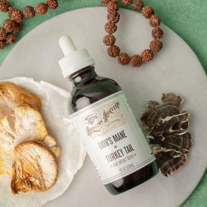 Hodgins Harvest Organic Lion's Mane Fruiting Body Extract Tincture - Mushroom Supplement for Brain Health and Mental Focus - Dual Extract Formula - Extra Concentrated - 4 fl oz Bottle - PrimeBioHealth - canada supplements