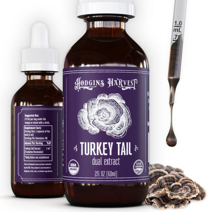 Hodgins Harvest Organic Lion's Mane Fruiting Body Extract Tincture - Mushroom Supplement for Brain Health and Mental Focus - Dual Extract Formula - Extra Concentrated - 4 fl oz Bottle - PrimeBioHealth - canada supplements