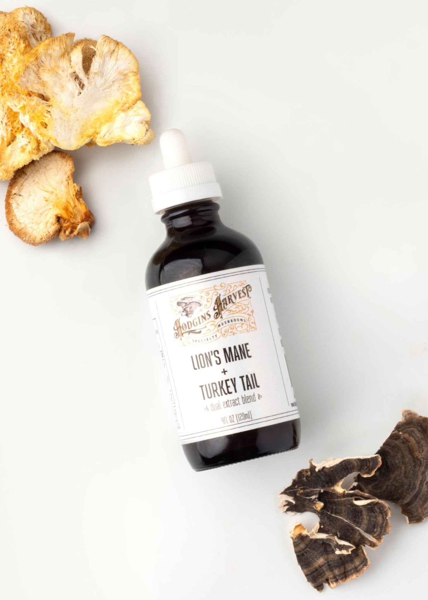 Hodgins Harvest Organic Lion's Mane Fruiting Body Extract Tincture - Mushroom Supplement for Brain Health and Mental Focus - Dual Extract Formula - Extra Concentrated - 4 fl oz Bottle - PrimeBioHealth - canada supplements