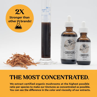 Hodgins Harvest Organic Lion's Mane Fruiting Body Extract Tincture - Mushroom Supplement for Brain Health and Mental Focus - Dual Extract Formula - Extra Concentrated - 4 fl oz Bottle - PrimeBioHealth - canada supplements