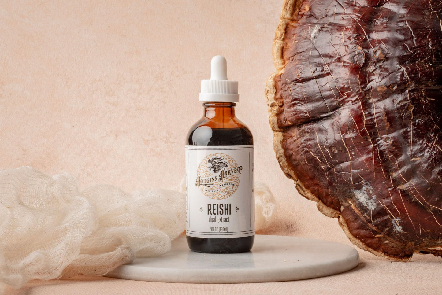 Hodgins Harvest Organic Lion's Mane Fruiting Body Extract Tincture - Mushroom Supplement for Brain Health and Mental Focus - Dual Extract Formula - Extra Concentrated - 4 fl oz Bottle - PrimeBioHealth - canada supplements