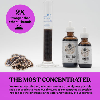 Hodgins Harvest Organic Lion's Mane Fruiting Body Extract Tincture - Mushroom Supplement for Brain Health and Mental Focus - Dual Extract Formula - Extra Concentrated - 4 fl oz Bottle - PrimeBioHealth - canada supplements