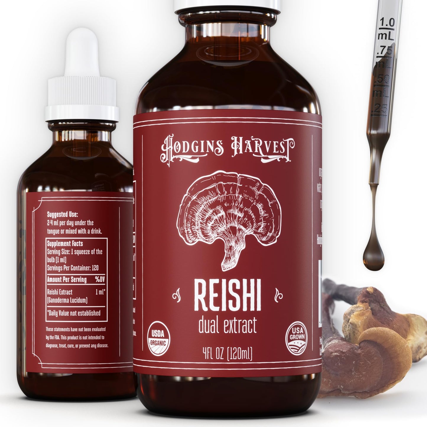 Hodgins Harvest Organic Lion's Mane Fruiting Body Extract Tincture - Mushroom Supplement for Brain Health and Mental Focus - Dual Extract Formula - Extra Concentrated - 4 fl oz Bottle - PrimeBioHealth - canada supplements