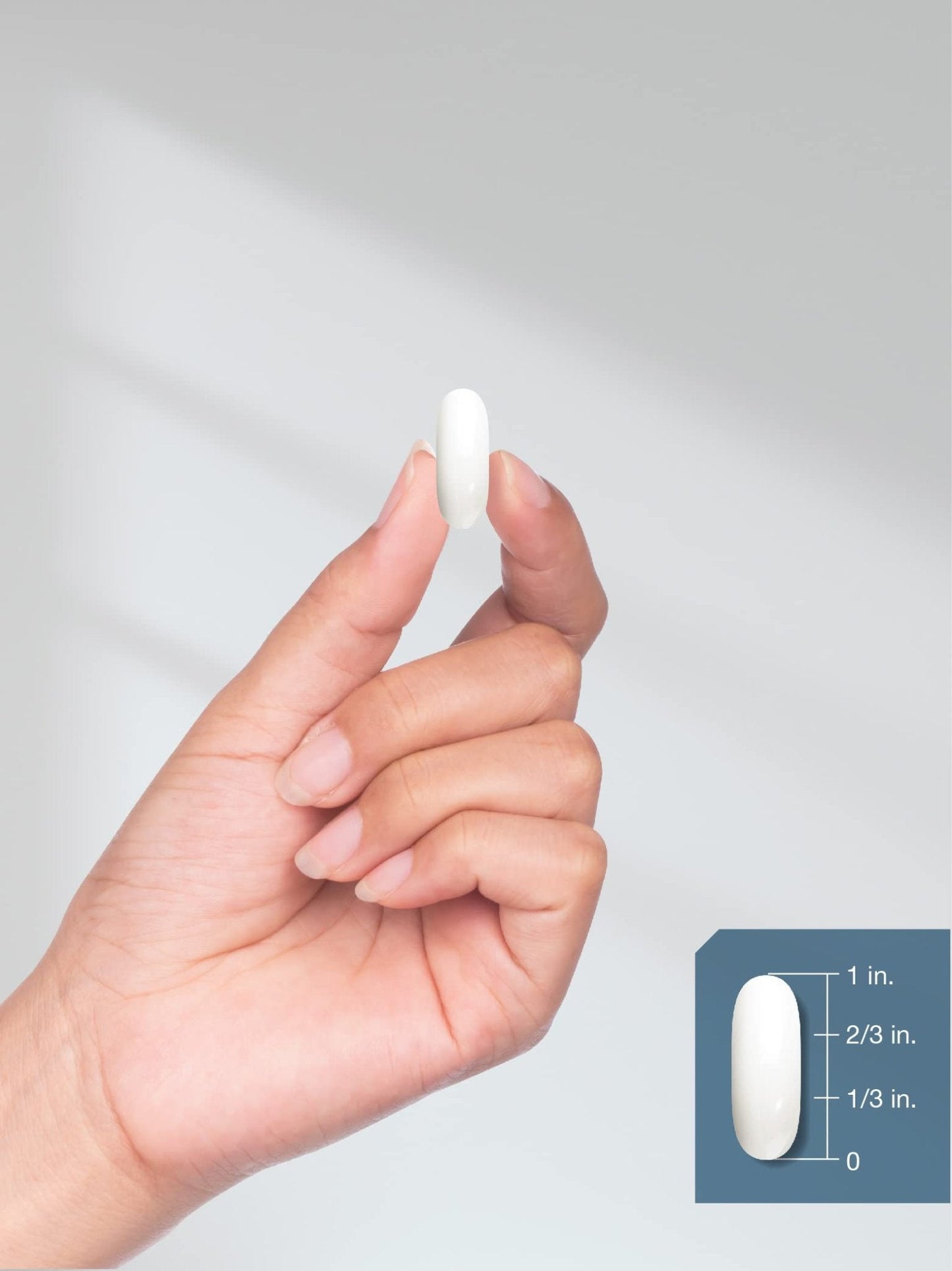 Horbäach Calcium 1200 mg with Vitamin D3 | 240 Softgels | 5000 IU Vitamin D3 | Absorbable Calcium Supplement for Women and Men - PrimeBioHealth - canada supplements
