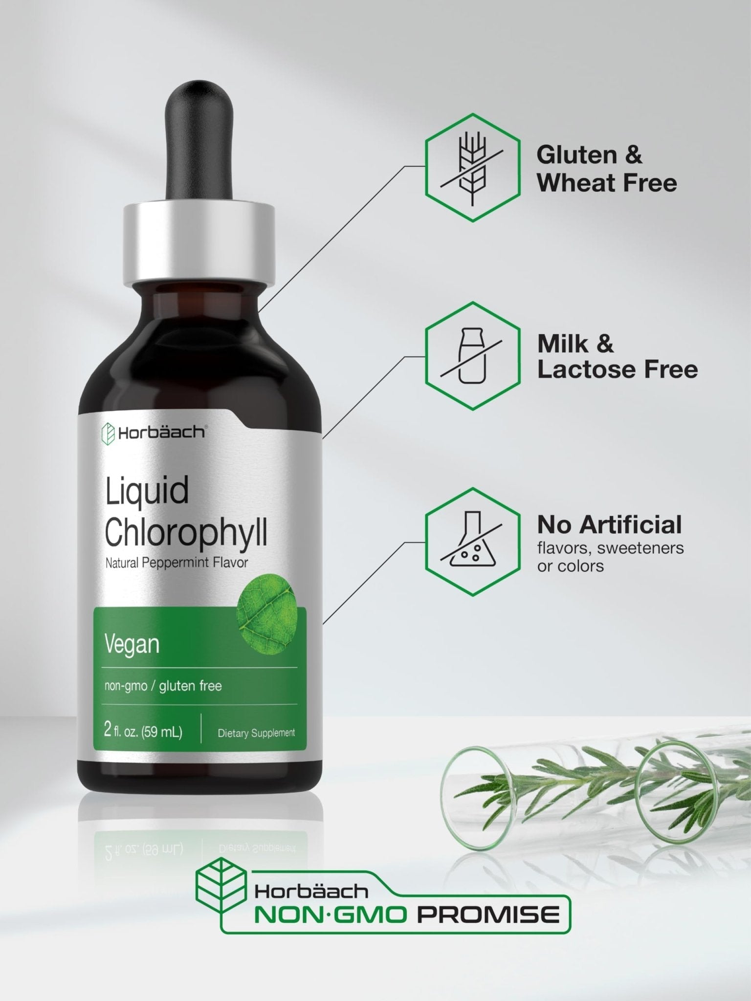 Horbäach Liquid Chlorophyll Drops | 2 oz | Vegan, Non-GMO, and Gluten Free Formula | Natural Peppermint Flavor - PrimeBioHealth - canada supplements
